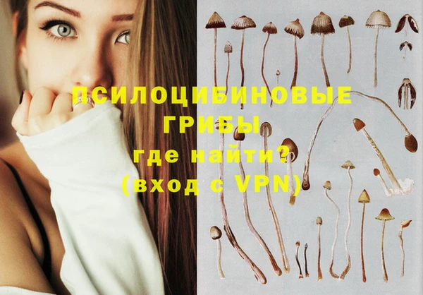 круглые Вязьма