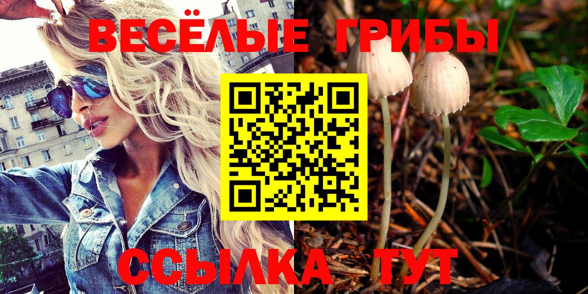 Псилоцибиновые грибы мицелий  Вход с VPN  Ноябрьск 